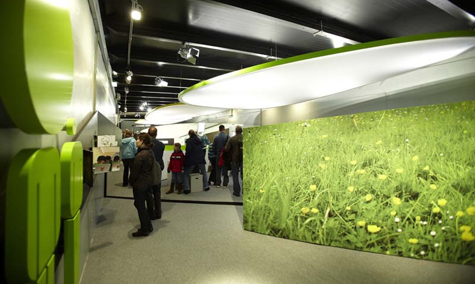 展覽設(shè)計(jì)效果