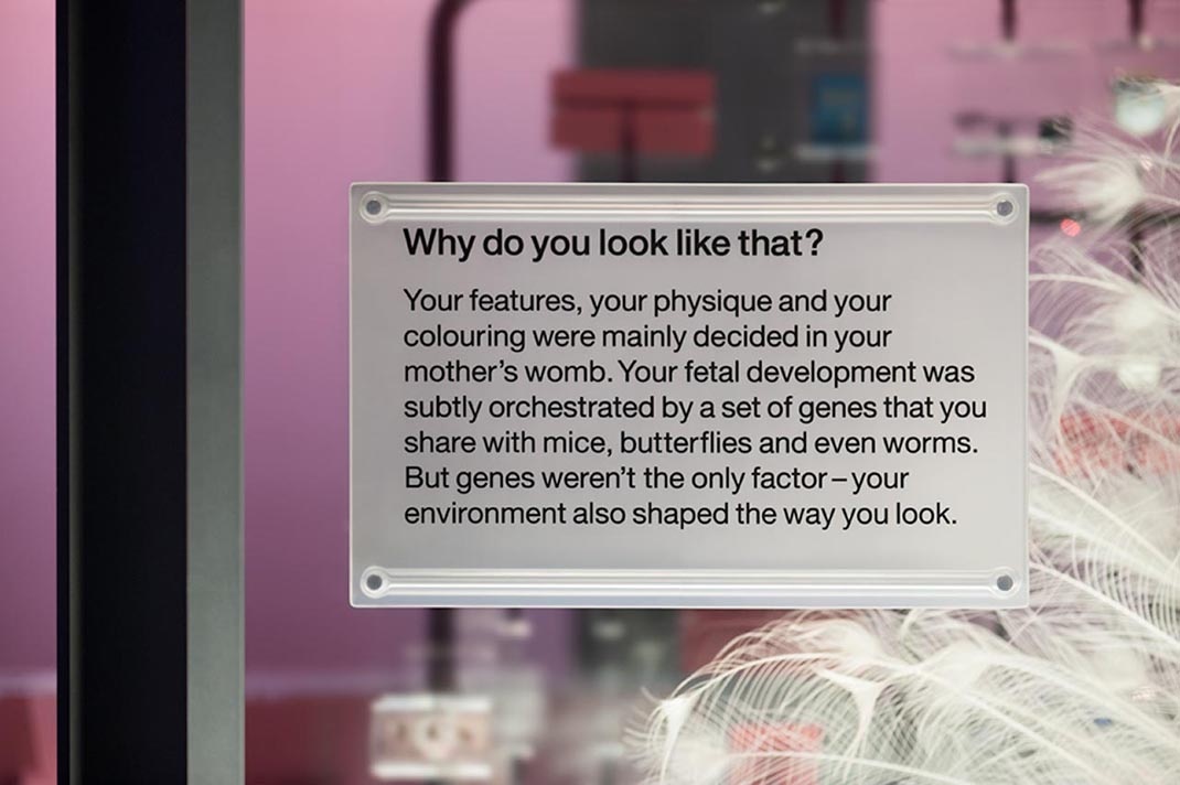 科學(xué)博物館展廳設(shè)計(jì)