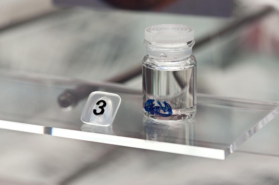 科學(xué)博物館展廳設(shè)計(jì)