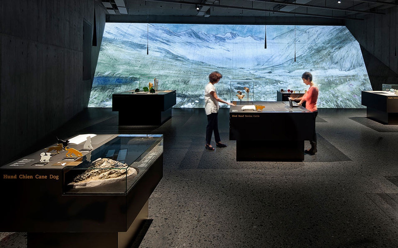 博物館設(shè)計(jì)