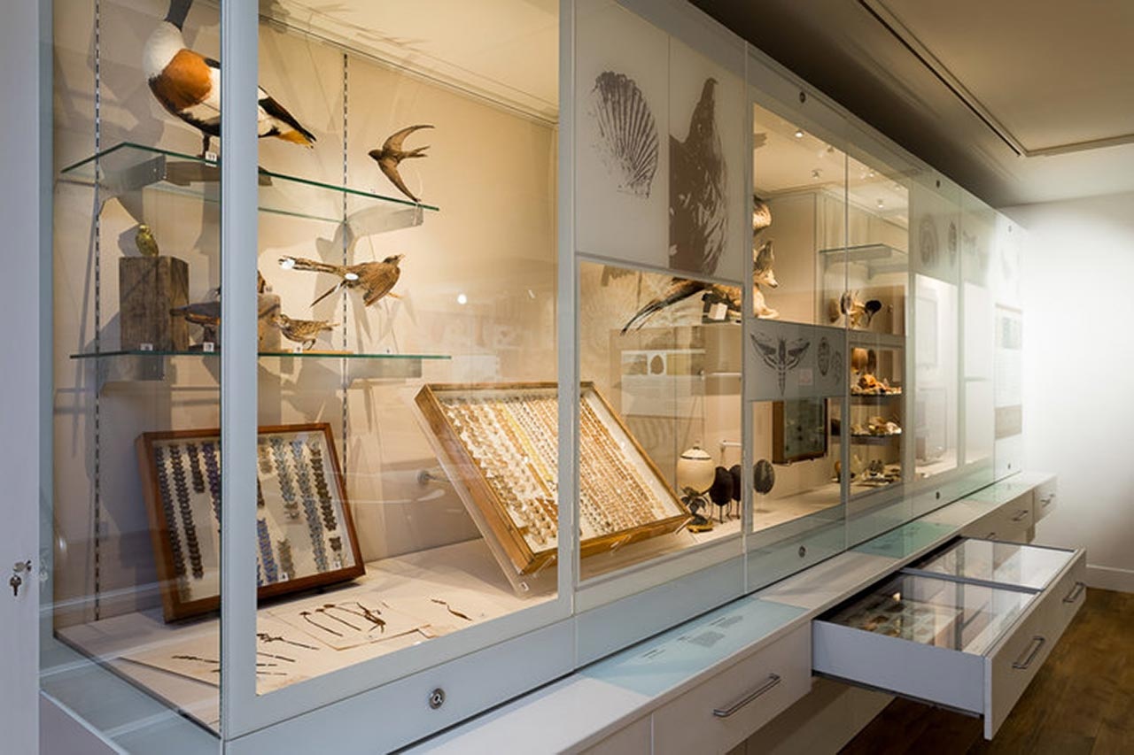 博物館設(shè)計